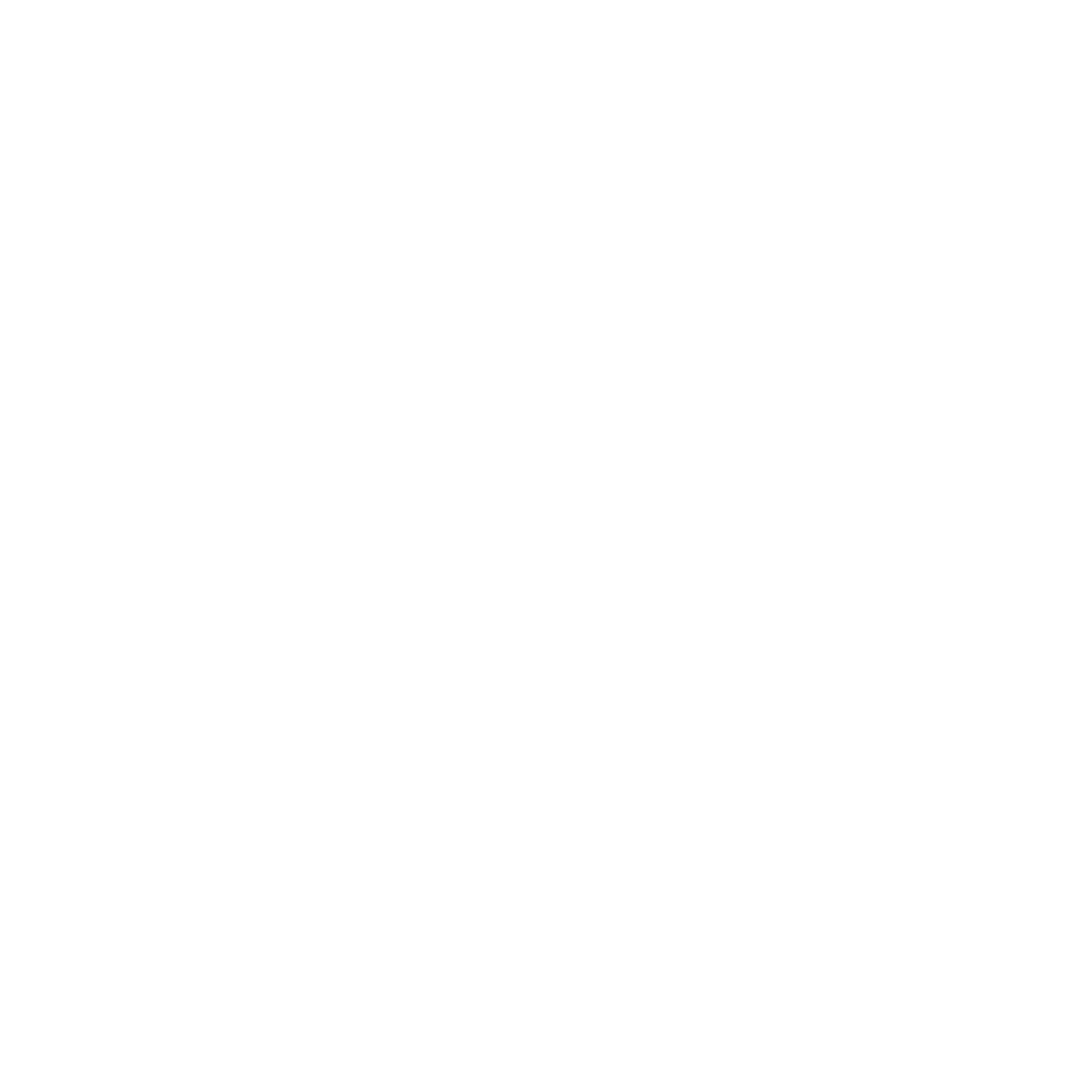 Phone Icon